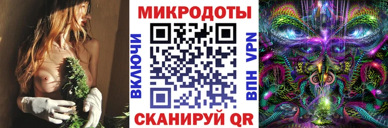 Псилоцибиновые грибы Psilocybe  Купить где  Благовещенск 